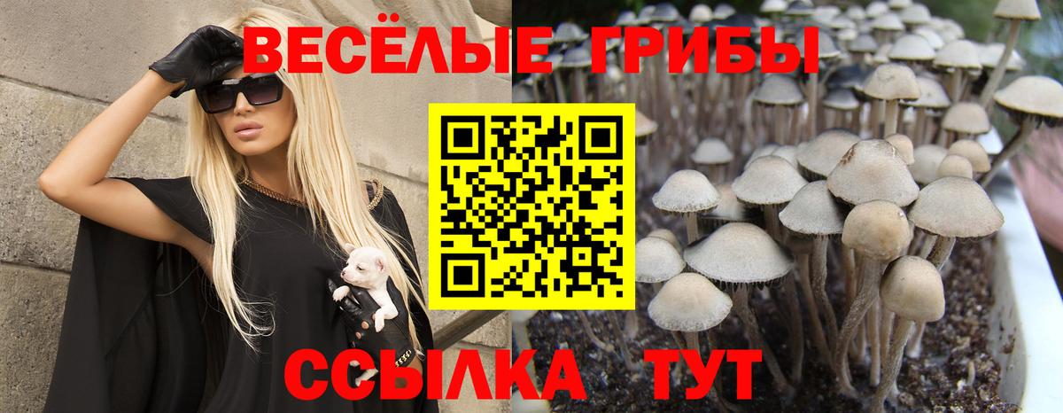 Сатка  Псилоцибиновые грибы GOLDEN TEACHER  Вход с VPN 